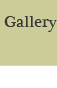 Vai alla pagina Gallery - accesso: 6