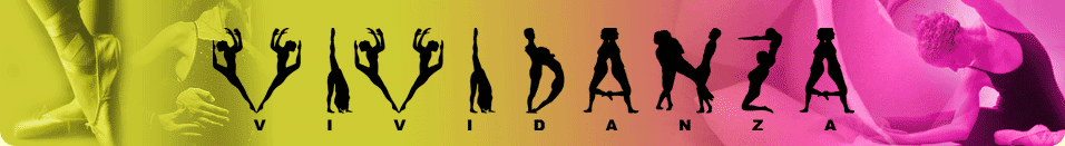 logo vividanza
